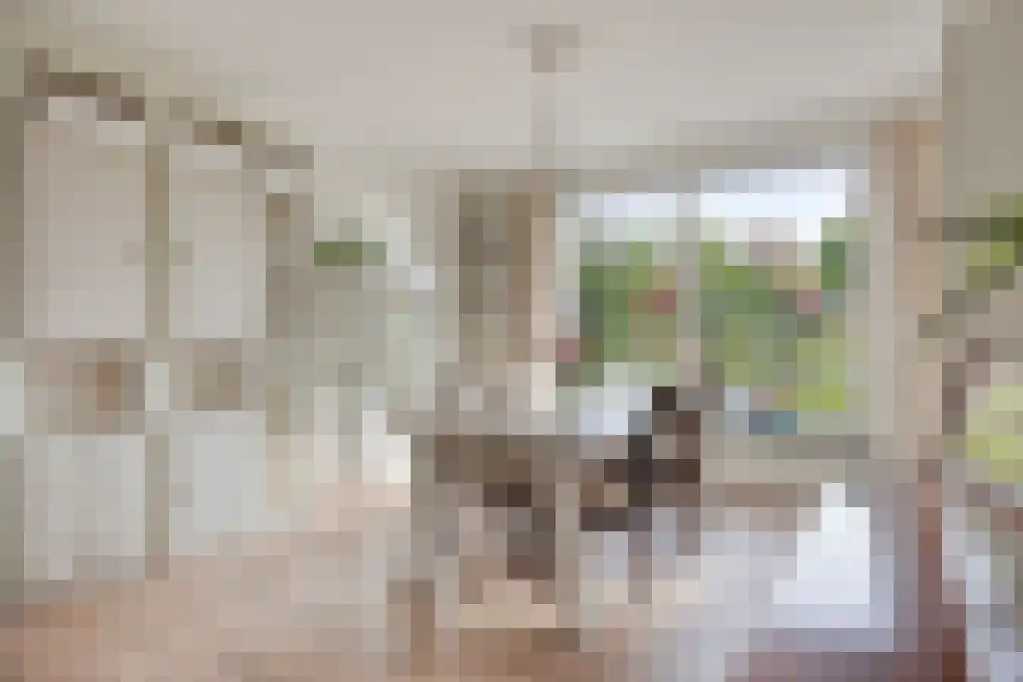 Sint Janstraat 25 Keijenborg thumbnail 15