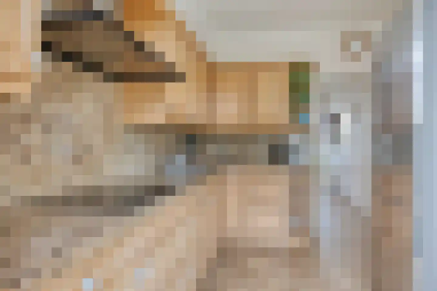 Sint Janstraat 25 Keijenborg thumbnail 17