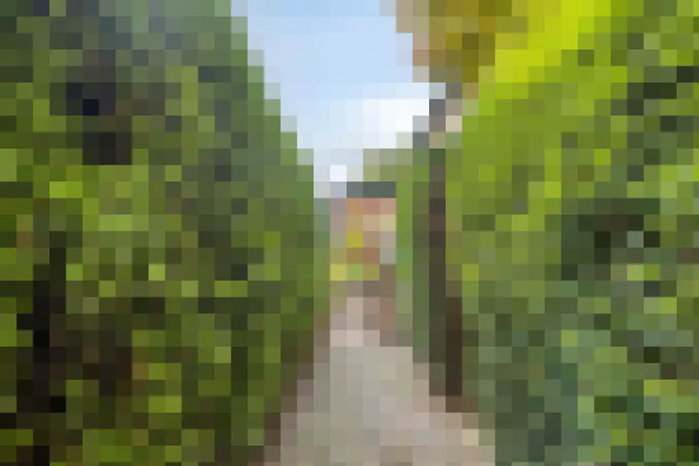 Sint Janstraat 25 Keijenborg thumbnail 32