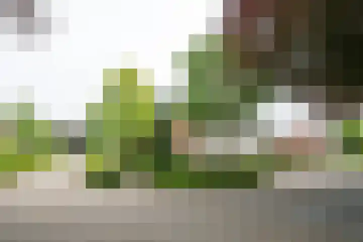 Sint Janstraat 25 Keijenborg thumbnail 4