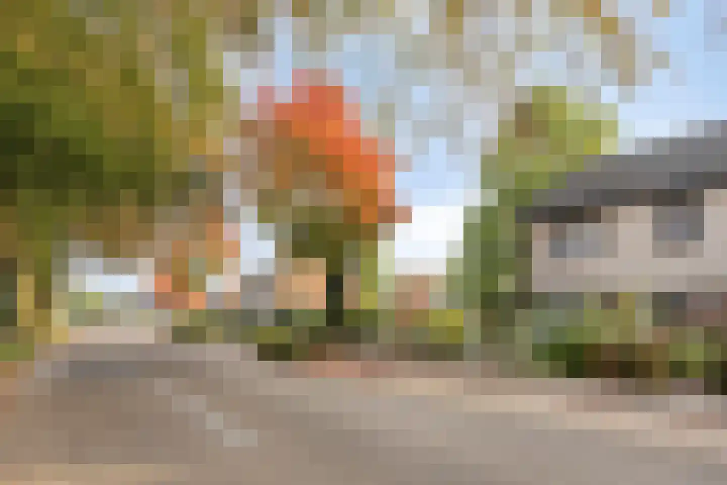 Sint Janstraat 25 Keijenborg thumbnail 6