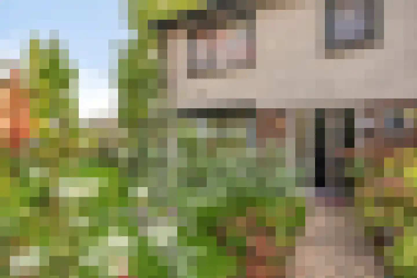 Sint Janstraat 25 Keijenborg thumbnail 7