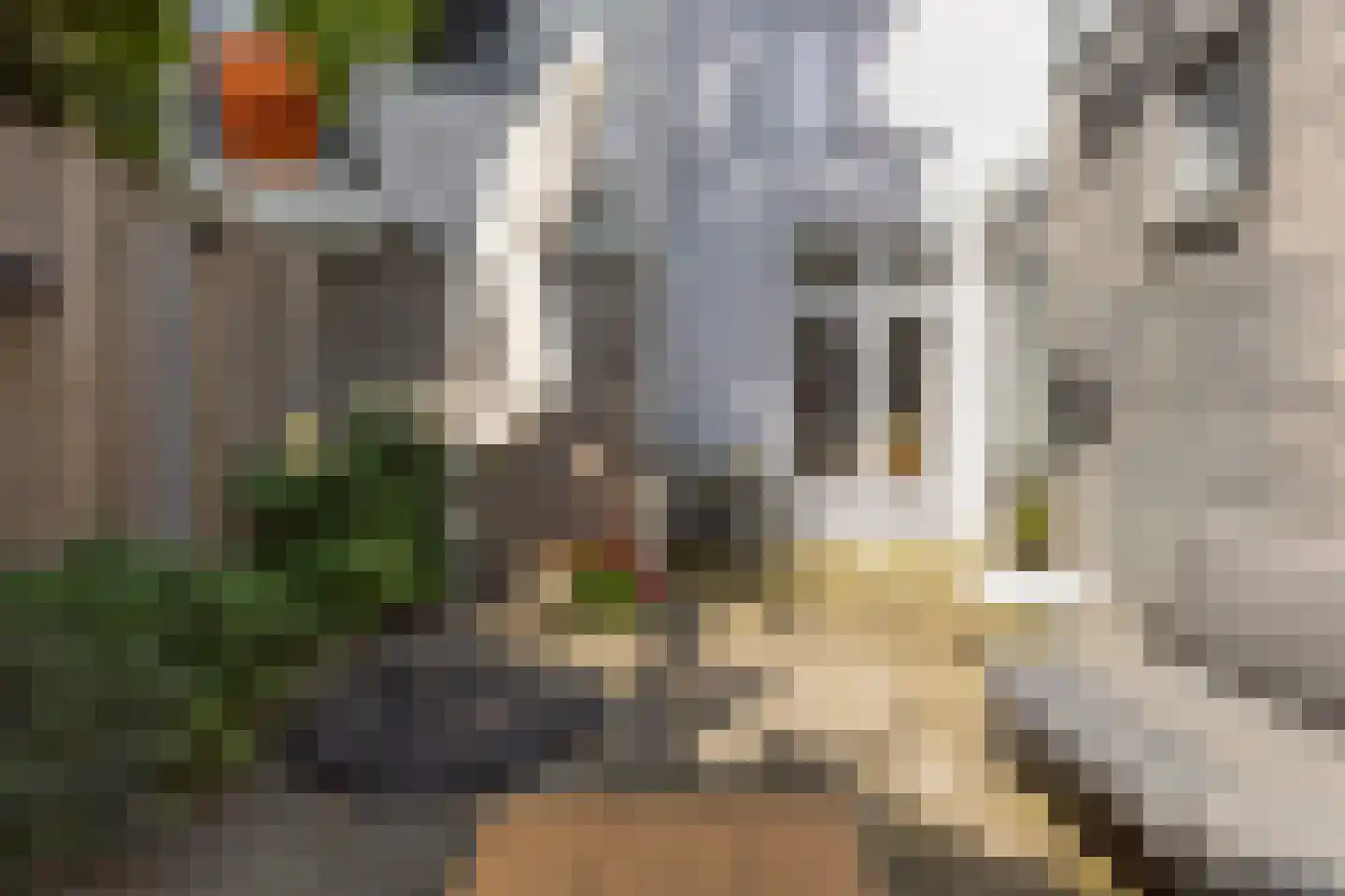 Sint Janstraat 25 Middelburg thumbnail 32