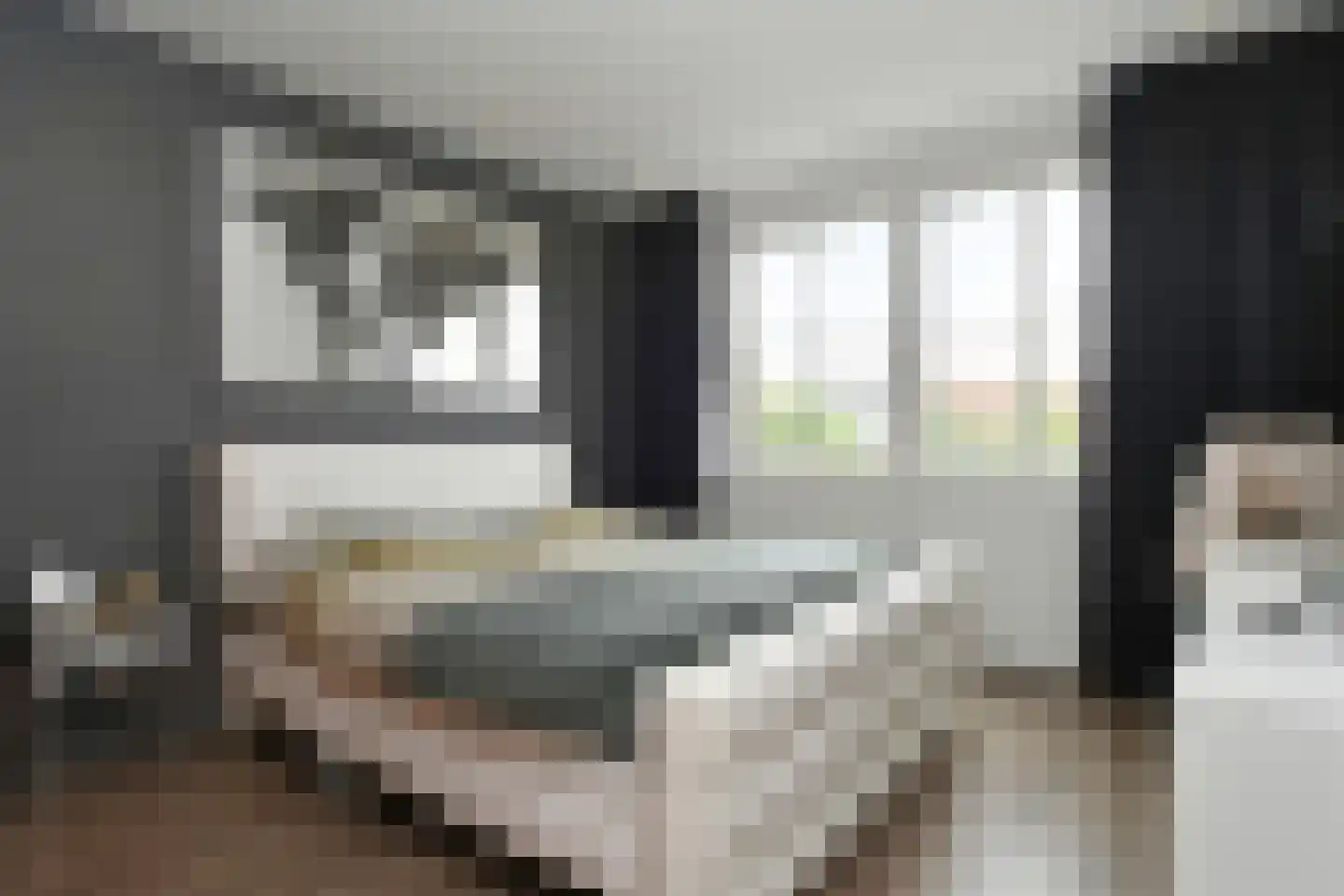 Sint Janstraat 26 Veldhoven thumbnail 22
