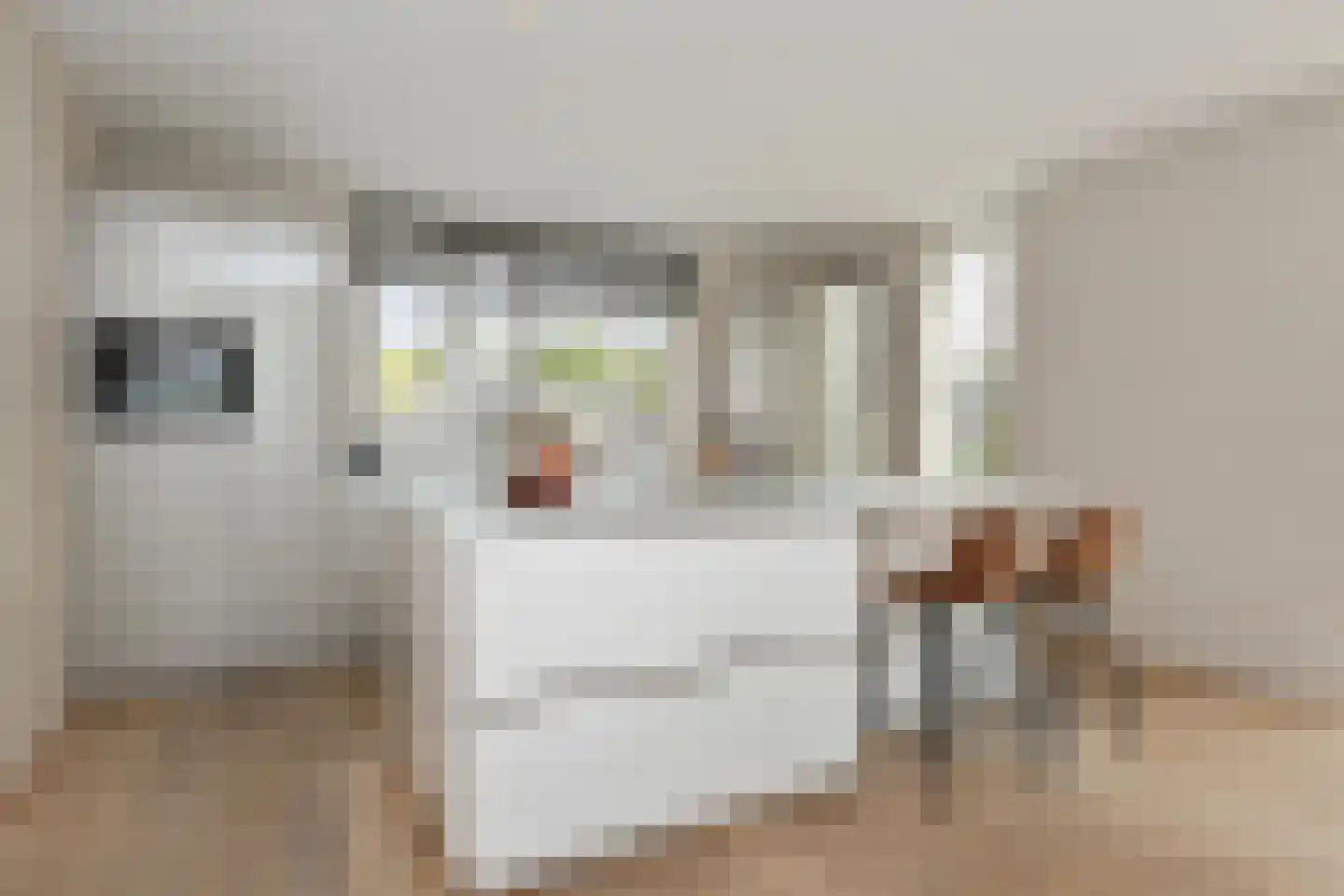 Sint Janstraat 26 Veldhoven thumbnail 4