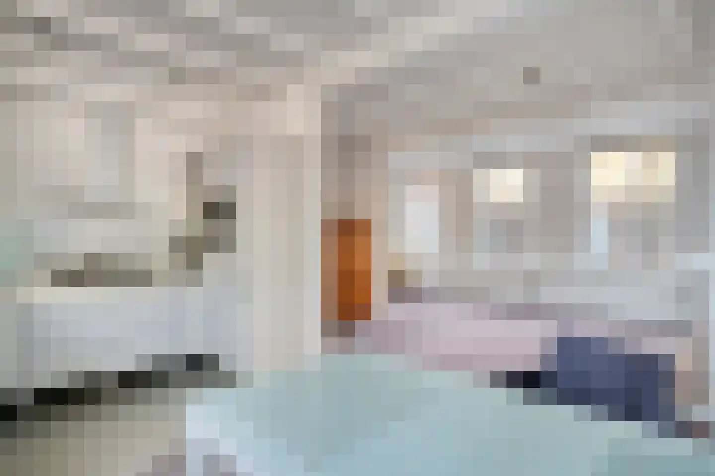 Sint Janstraat 3 C Middelburg thumbnail 18