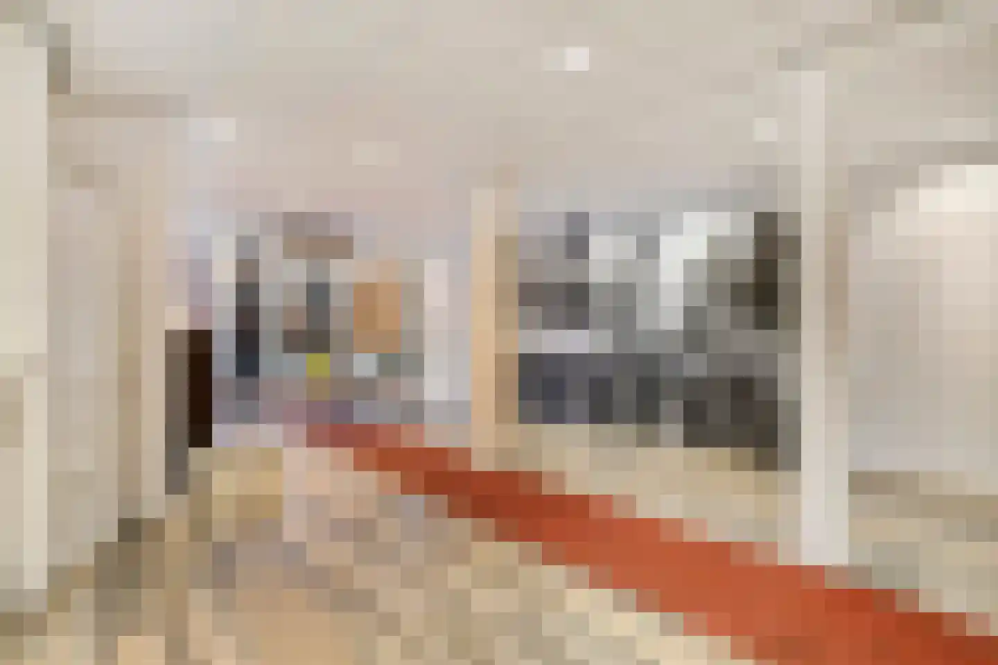 Sint Janstraat 3 C Middelburg thumbnail 9
