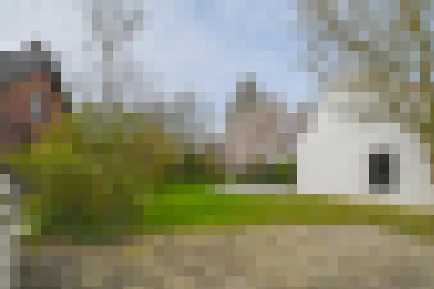 Sint Janstraat 3 Kapellebrug thumbnail 27