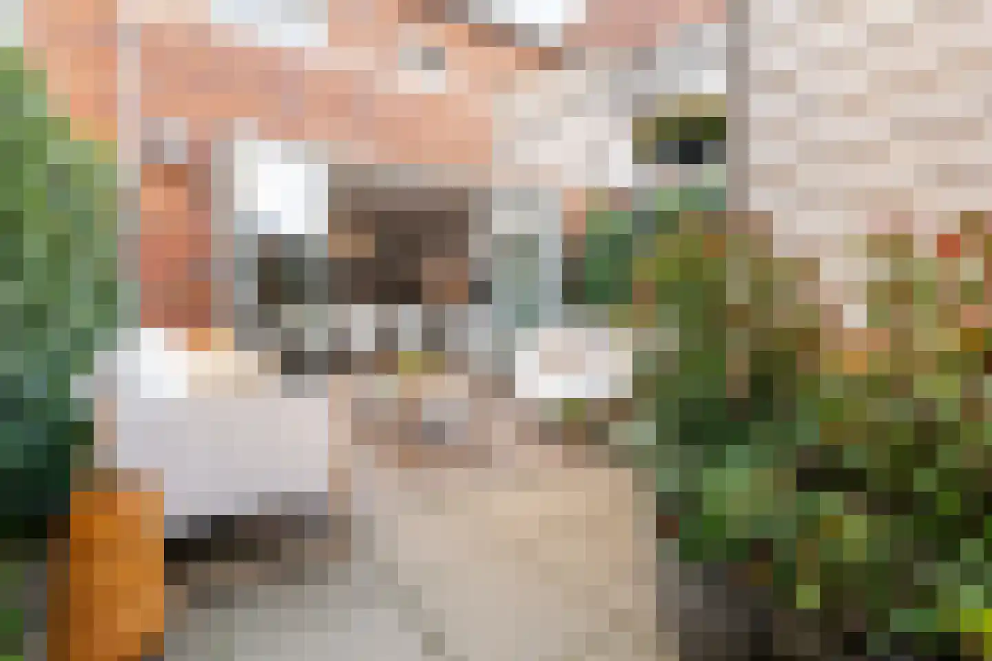 Sint Janstraat 31 Noordwijkerhout thumbnail 29