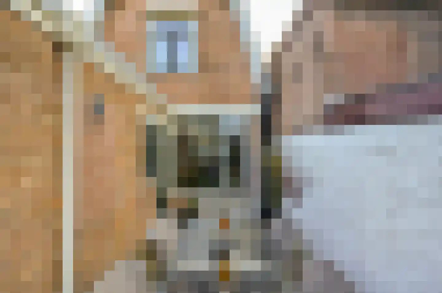 Sint Janstraat 33 Enkhuizen thumbnail 29