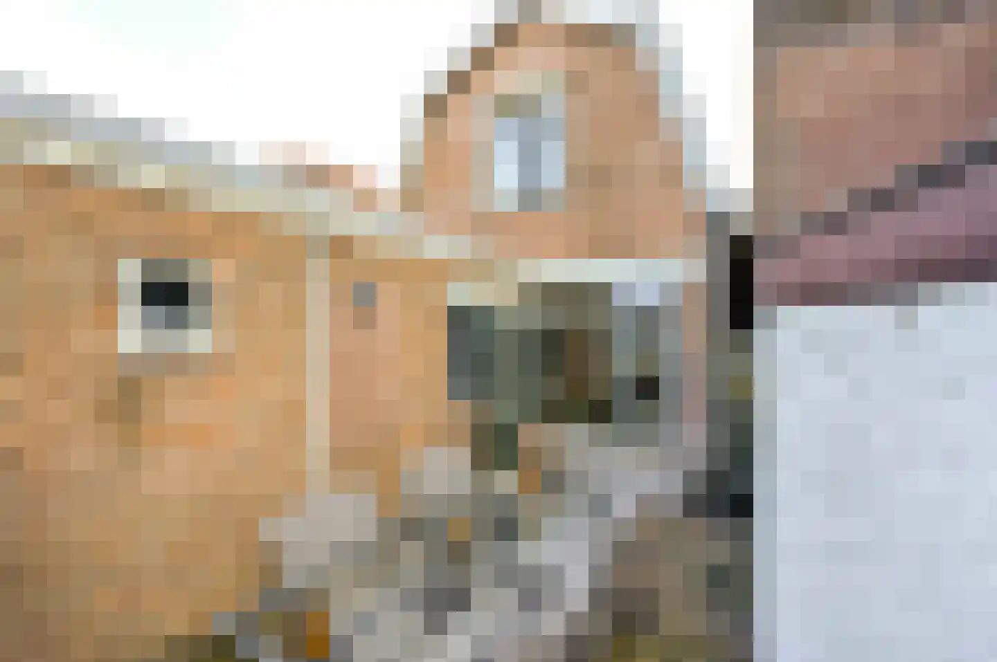 Sint Janstraat 33 Enkhuizen thumbnail 30