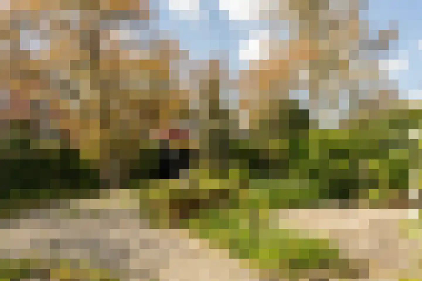 Sint Janstraat 34 b Laren thumbnail 32