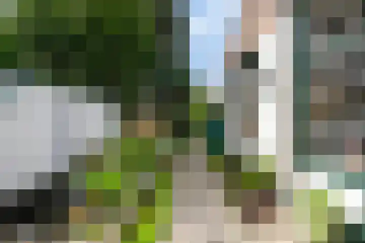 Sint Janstraat 35 Oosterhout thumbnail 30