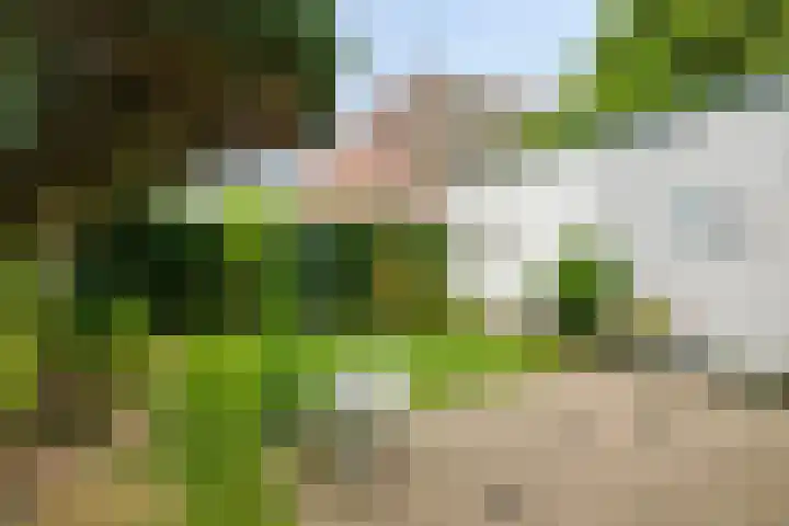 Sint Janstraat 35 Oosterhout thumbnail 31
