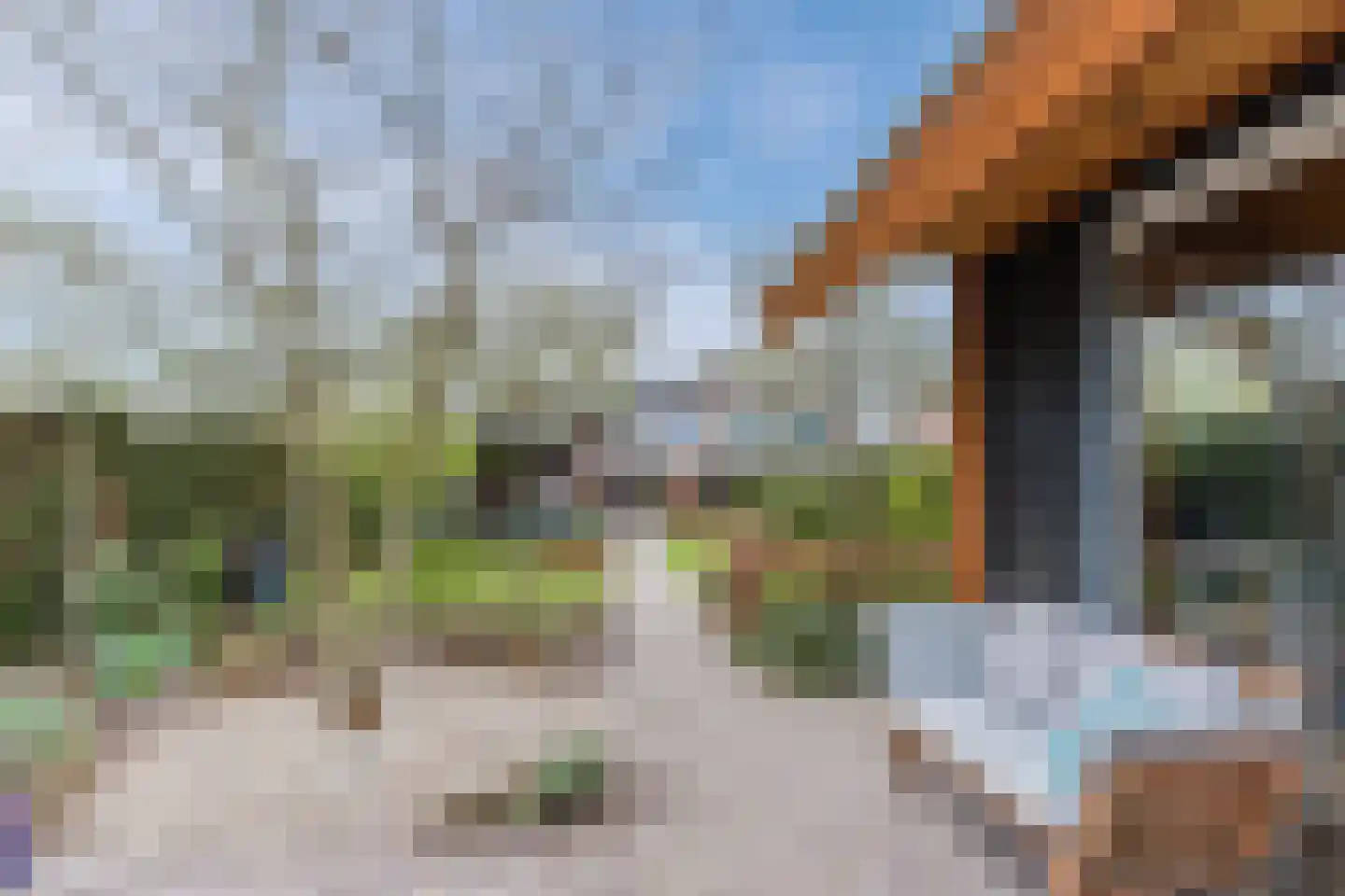 Sint Janstraat 36 Duizel thumbnail 47