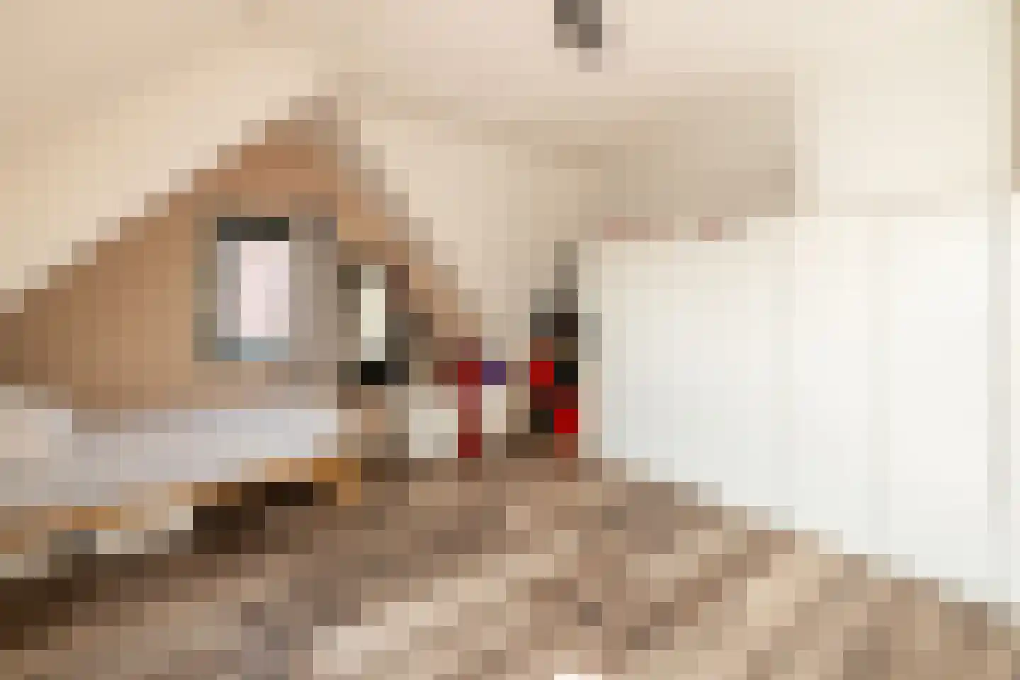 Sint Janstraat 49 Noordwijkerhout thumbnail 29