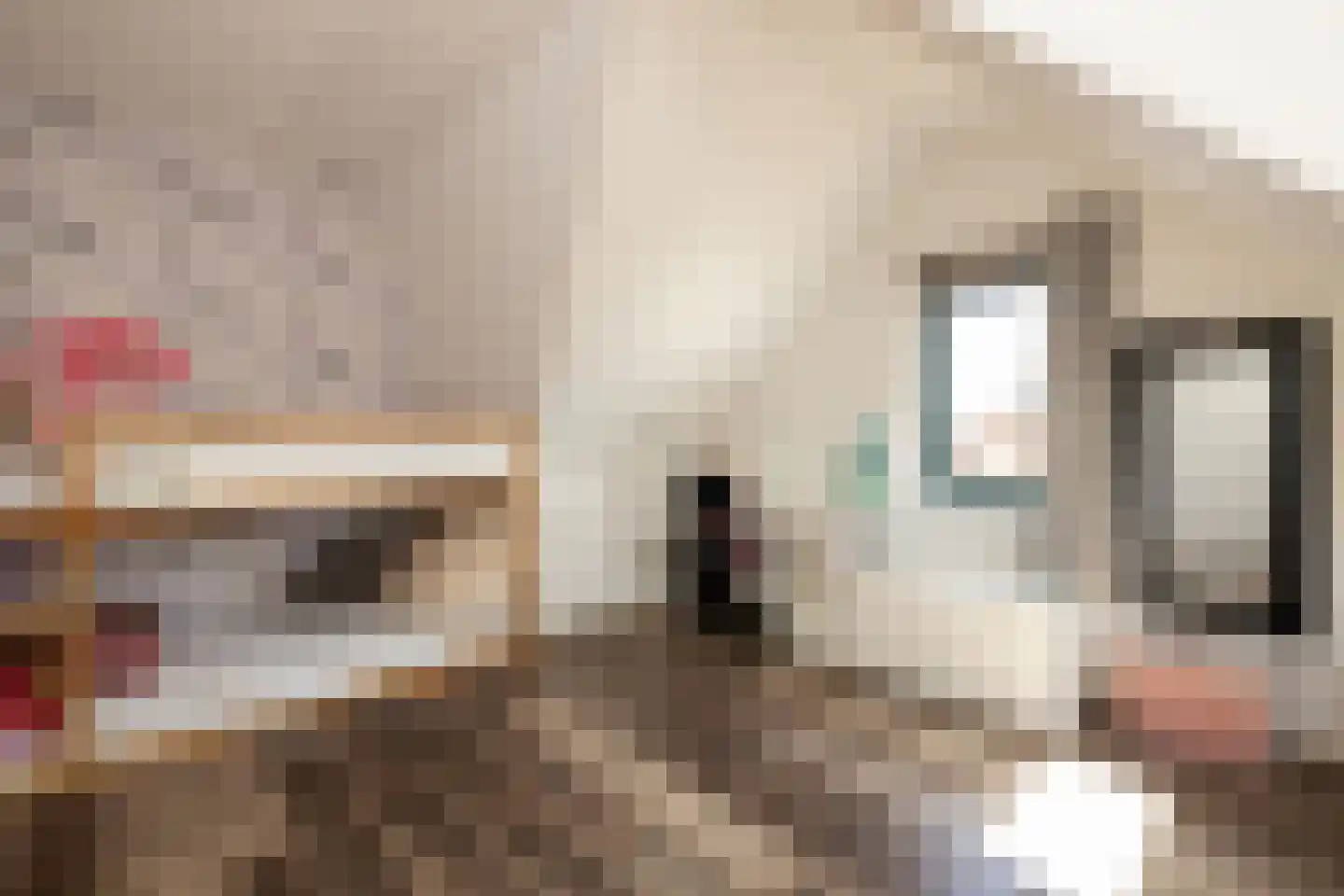 Sint Janstraat 49 Noordwijkerhout thumbnail 32
