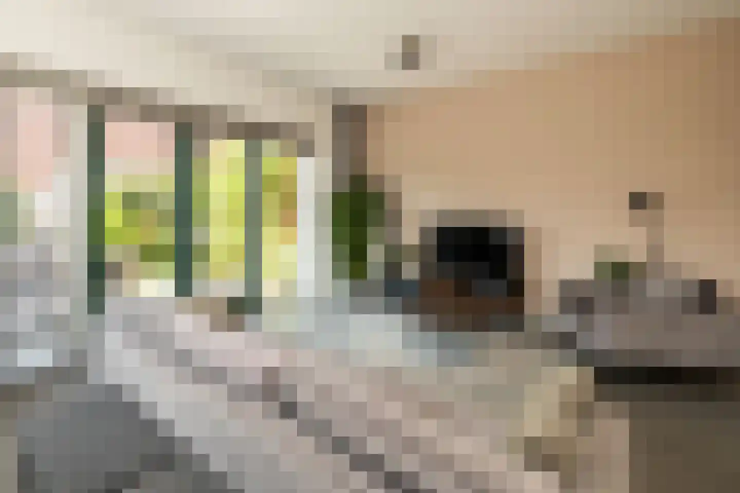 Sint Janstraat 49 Noordwijkerhout thumbnail 4