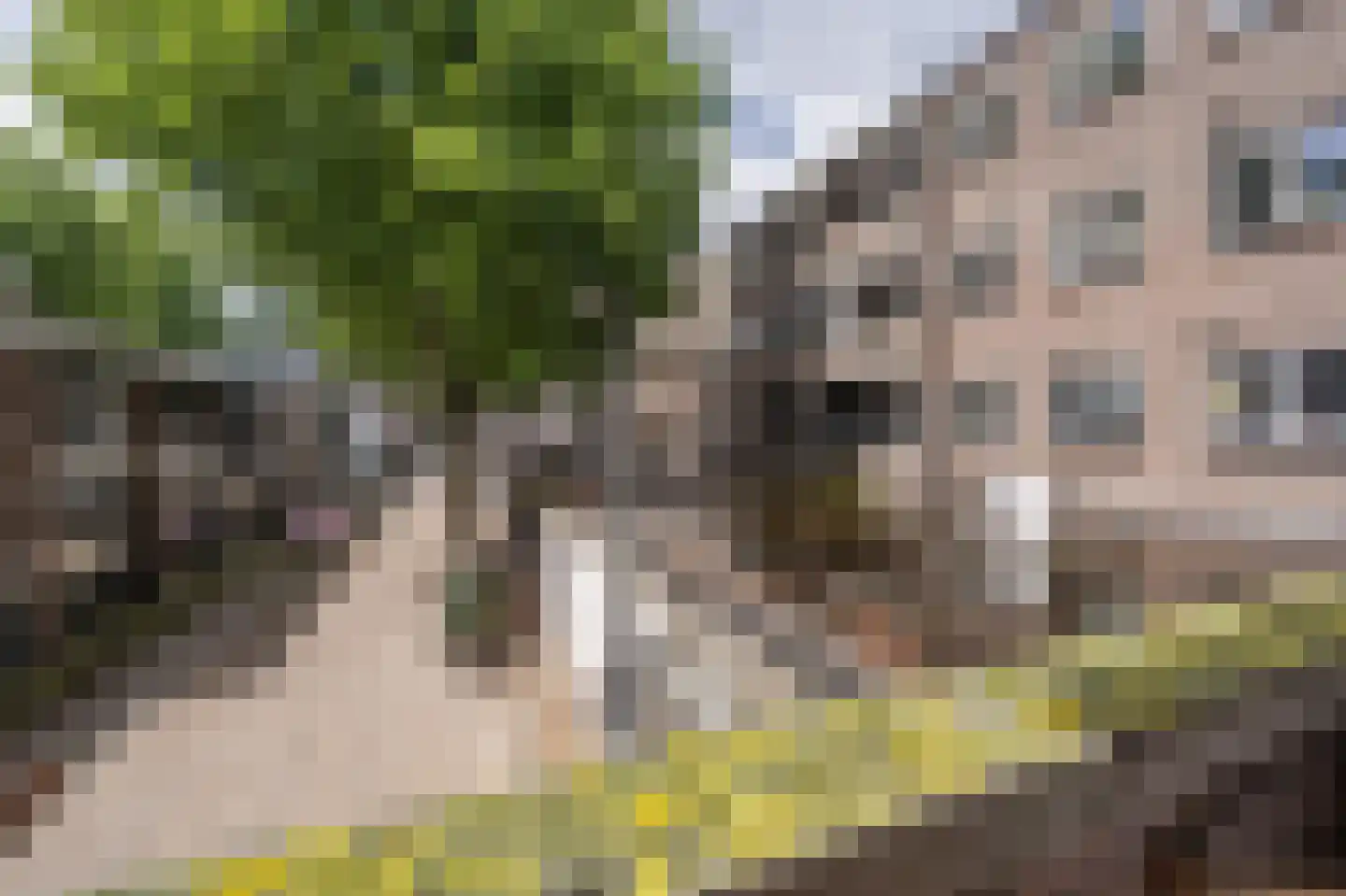 Sint-Janstraat 5 B Rotterdam thumbnail 13