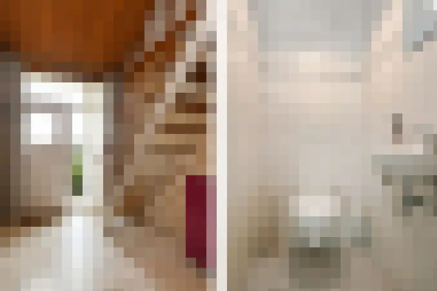Sint Janstraat 7 Baexem thumbnail 12