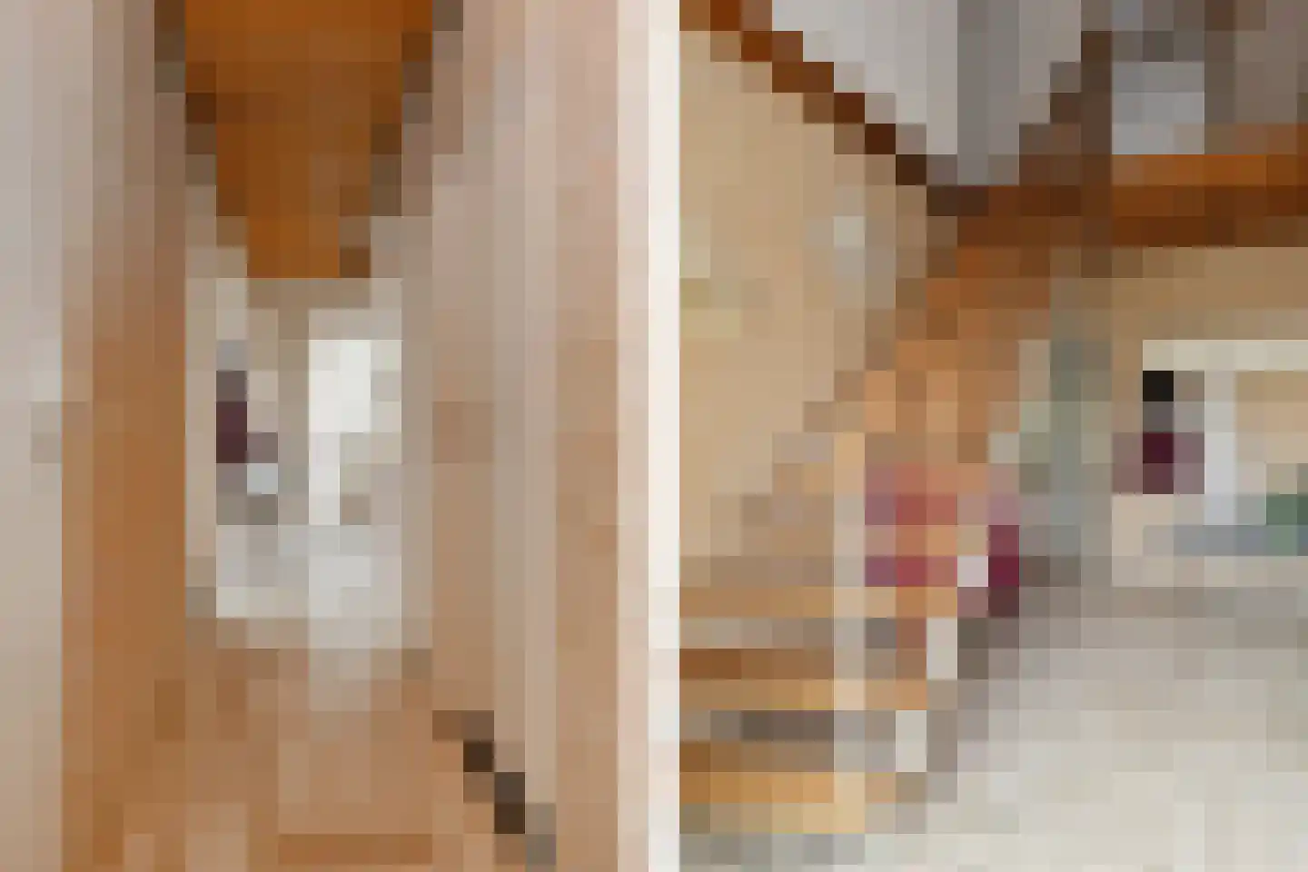 Sint Janstraat 7 Baexem thumbnail 17