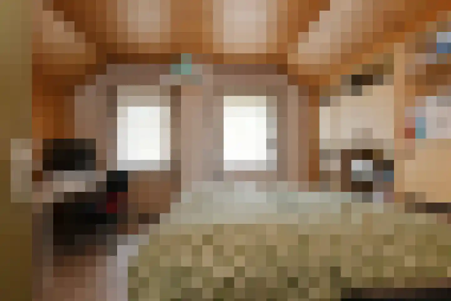 Sint Janstraat 7 Baexem thumbnail 20
