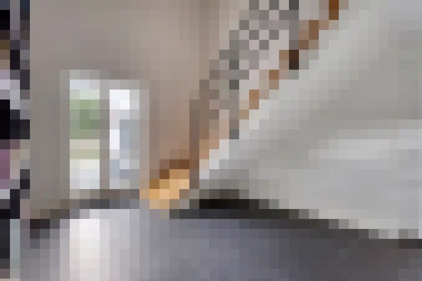 Sint Janstraat 8 b Kapellebrug thumbnail 27