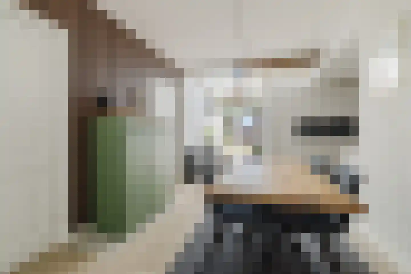 Sint Janstraat 85 Sprundel thumbnail 18