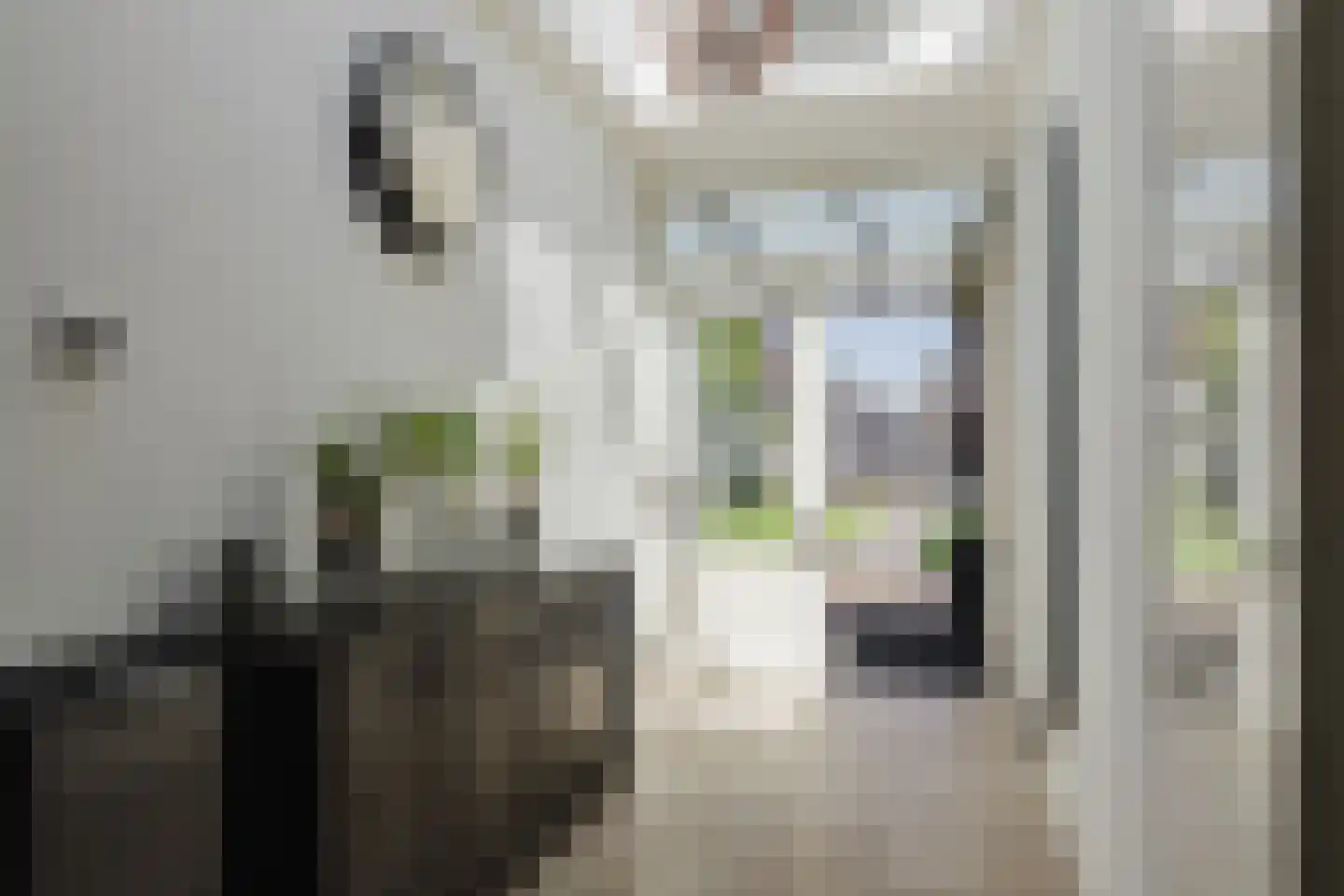 Sint Janstraat 85 Sprundel thumbnail 23
