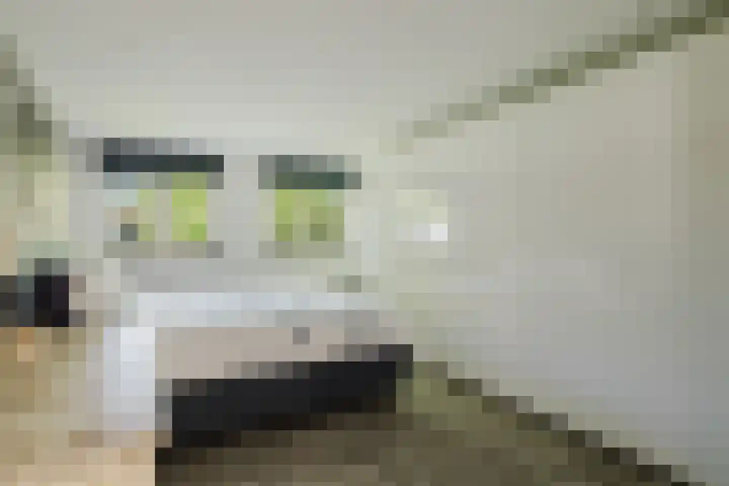 Sint Janstraat 85 Sprundel thumbnail 42