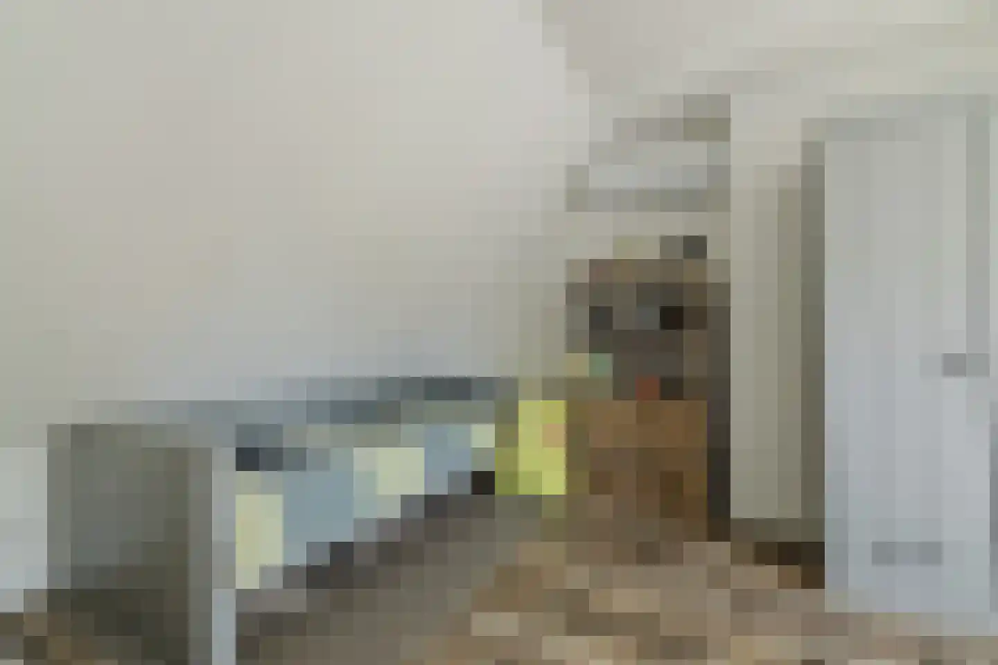 Sint Janstraat 85 Sprundel thumbnail 47