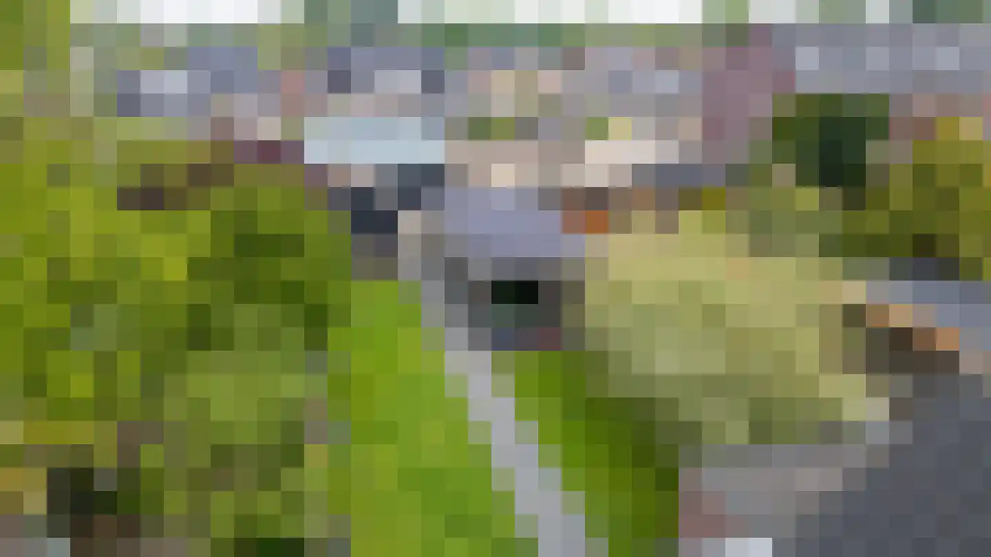 Sint Janstraat 85 Sprundel thumbnail 67