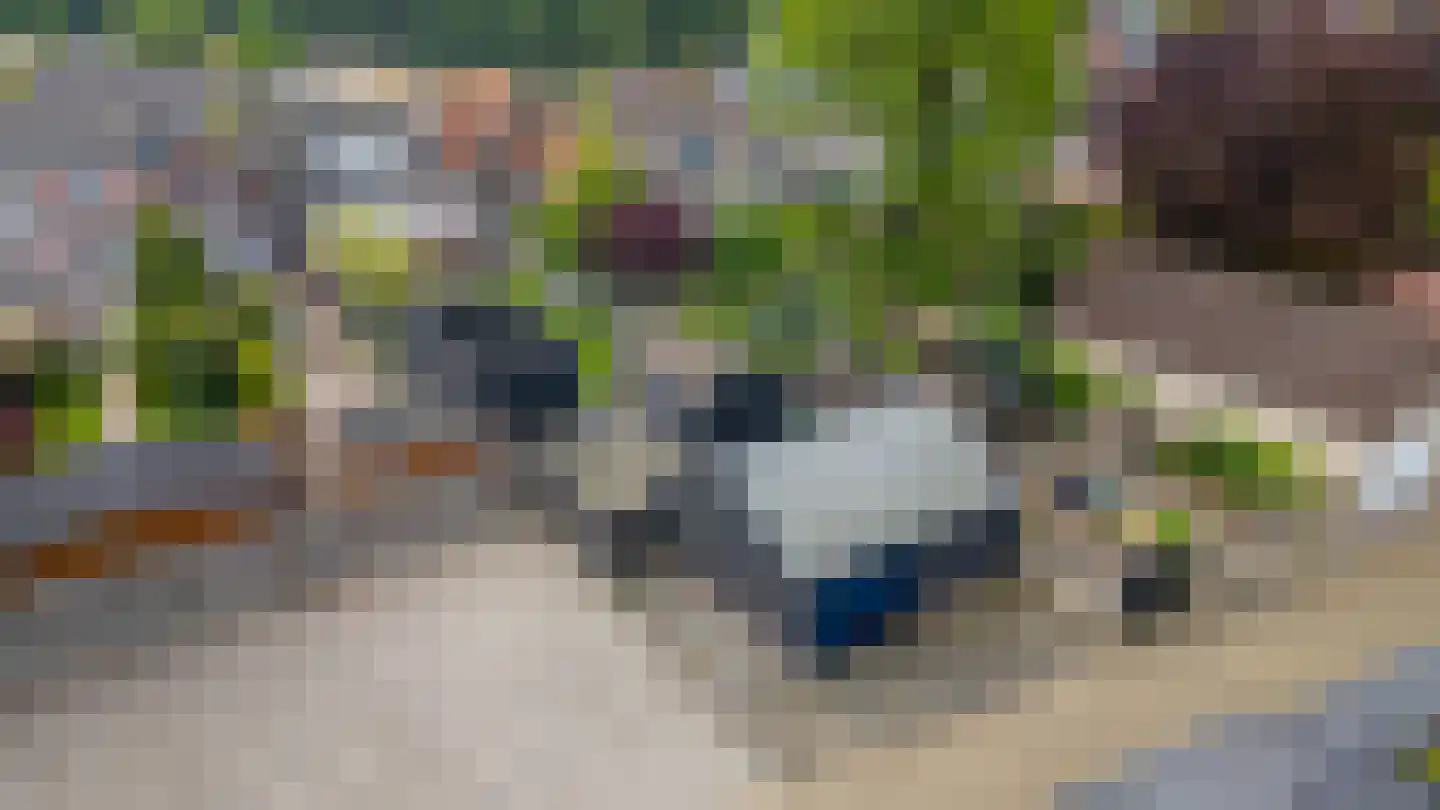 Sint Janstraat 85 Sprundel thumbnail 77