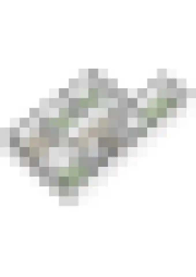 Sint Janstraat 85 Sprundel thumbnail 79