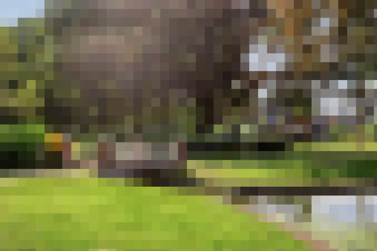 Sint Janstraat 9 Noordwijkerhout thumbnail 32