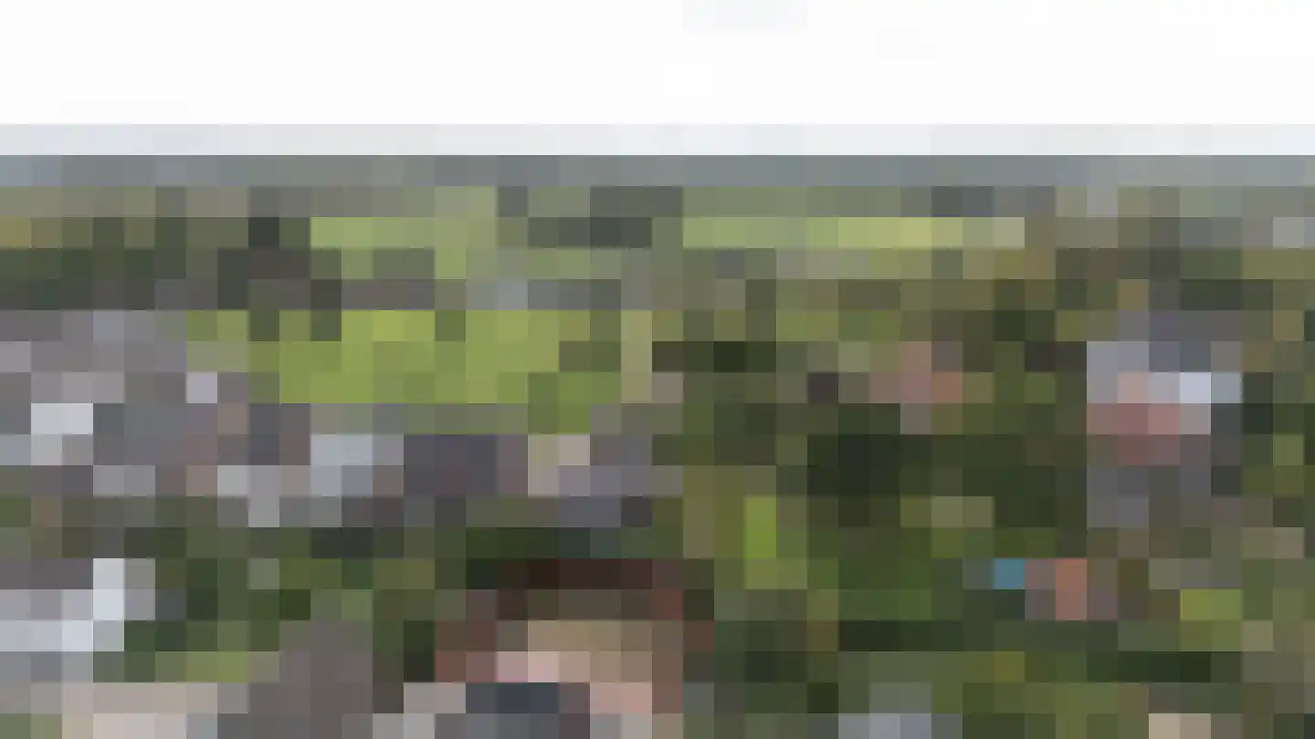 Sint Janswal 2 a Nieuwstadt thumbnail 8