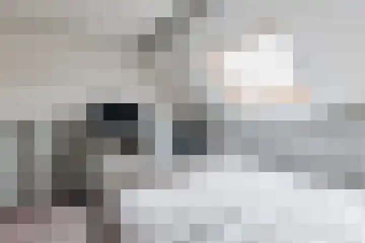 Sint Jansweg 12 Sint Jansklooster thumbnail 18