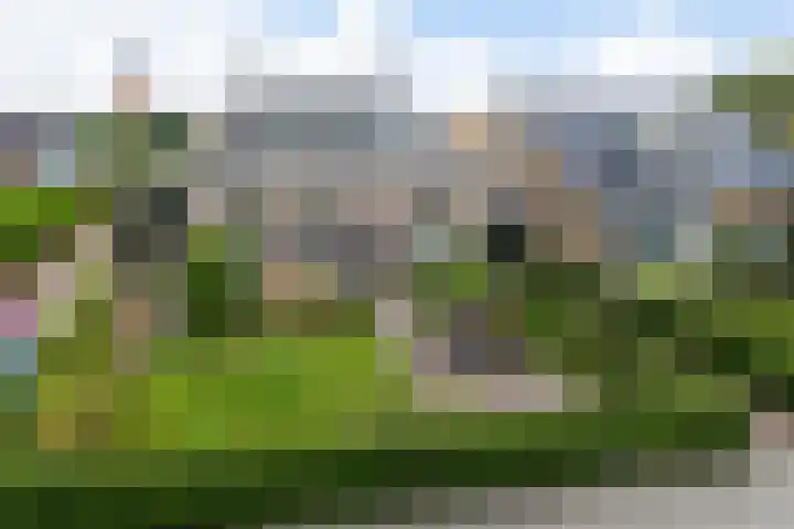 Sint Janswei 6 Deinum thumbnail 16