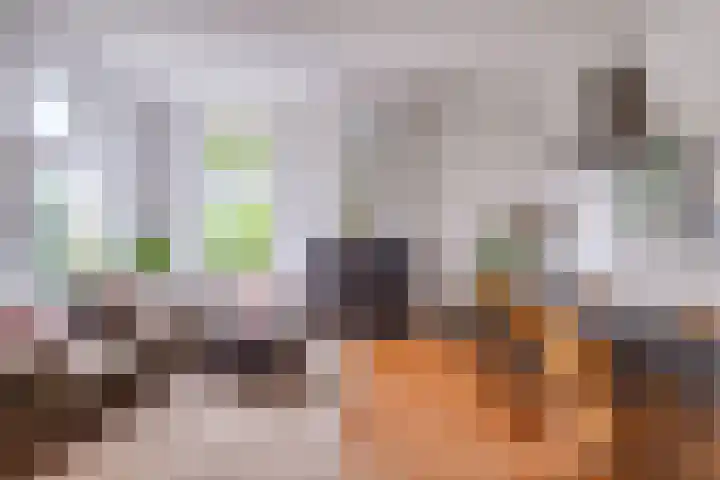 Sint Janswei 6 Deinum thumbnail 23