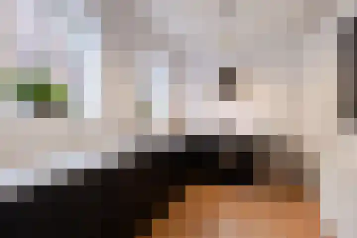 Sint Janswei 6 Deinum thumbnail 24