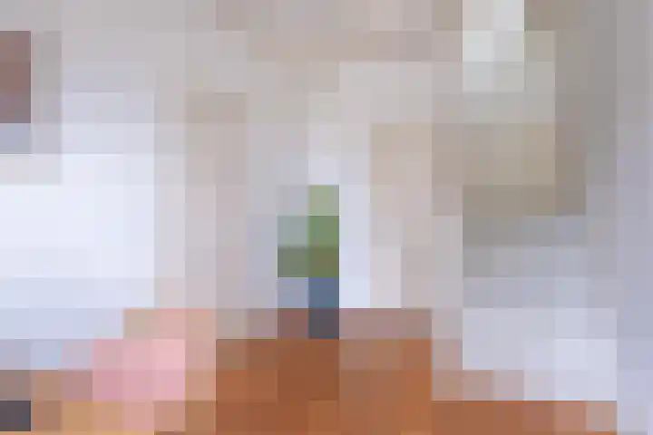 Sint Janswei 6 Deinum thumbnail 29