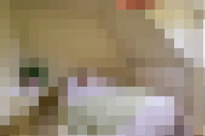 Sint Janswei 6 Deinum thumbnail 4