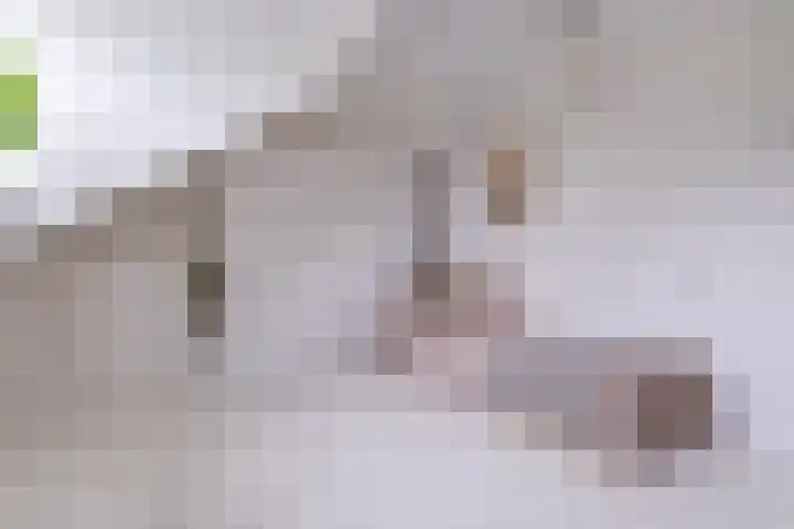 Sint Janswei 6 Deinum thumbnail 44