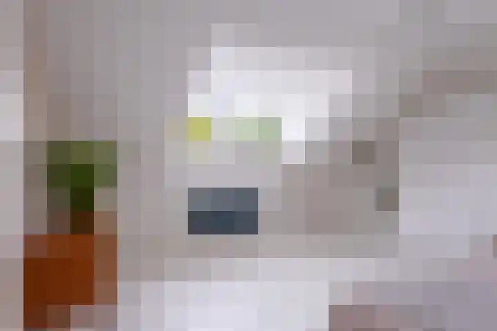 Sint Janswei 6 Deinum thumbnail 46