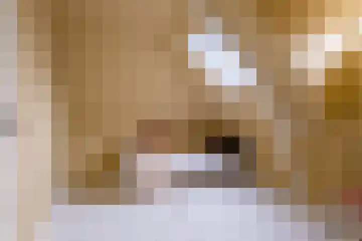 Sint Janswei 6 Deinum thumbnail 48