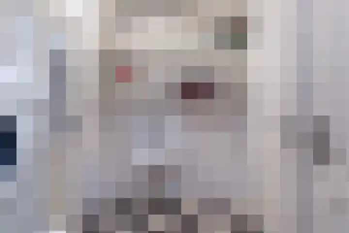 Sint Janswei 6 Deinum thumbnail 49
