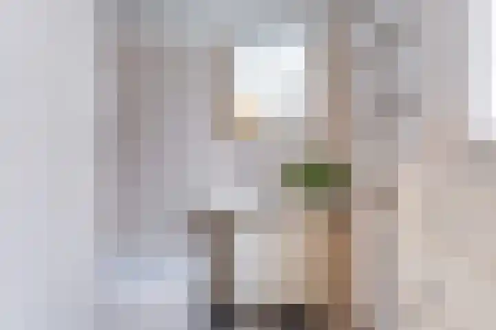 Sint Janswei 6 Deinum thumbnail 51