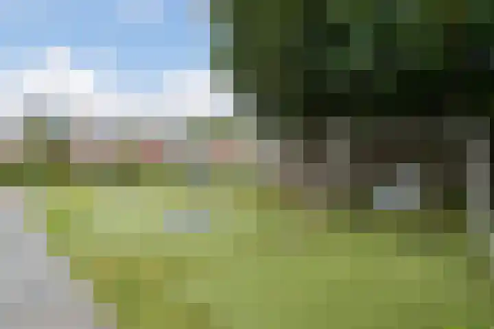 Sint Janswei 6 Deinum thumbnail 55