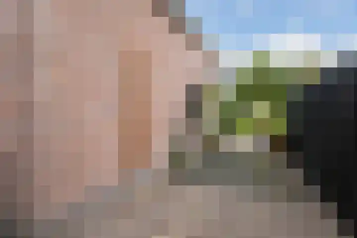 Sint Janswei 6 Deinum thumbnail 7