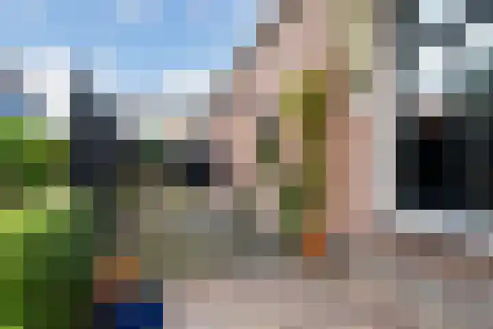 Sint Janswei 6 Deinum thumbnail 8